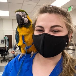 Meet your Posher, Mikayla